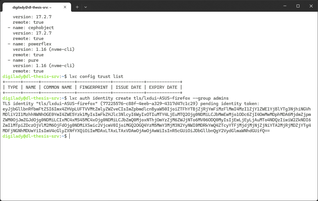 Εικόνα 5: LXDUI -  Server side (Terminal generate token